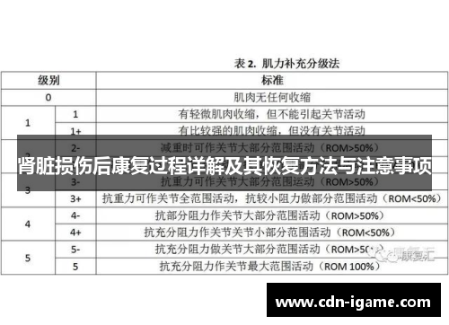 肾脏损伤后康复过程详解及其恢复方法与注意事项