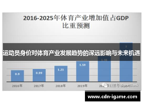 运动员身价对体育产业发展趋势的深远影响与未来机遇