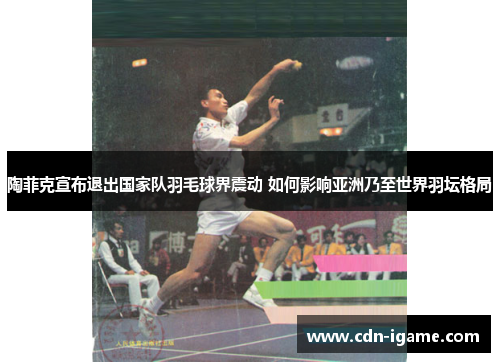 陶菲克宣布退出国家队羽毛球界震动 如何影响亚洲乃至世界羽坛格局